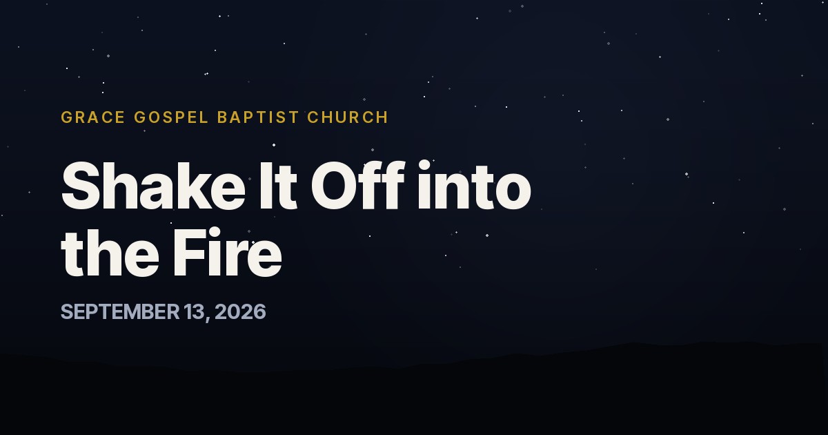 Shake It Off into the Fire