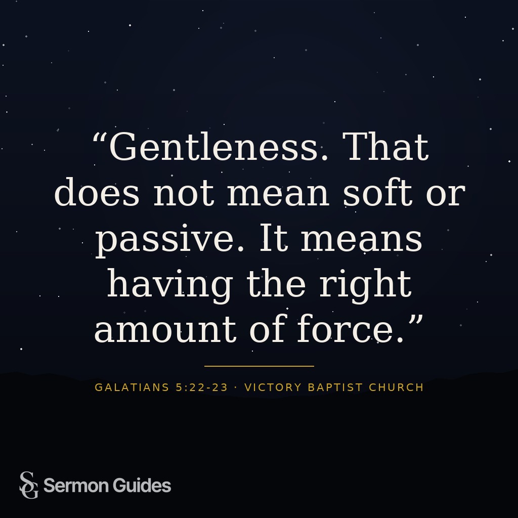 An inspirational graphic with the quote, 'Gentleness. That does not mean soft or passive. It means having the right amount of force.'